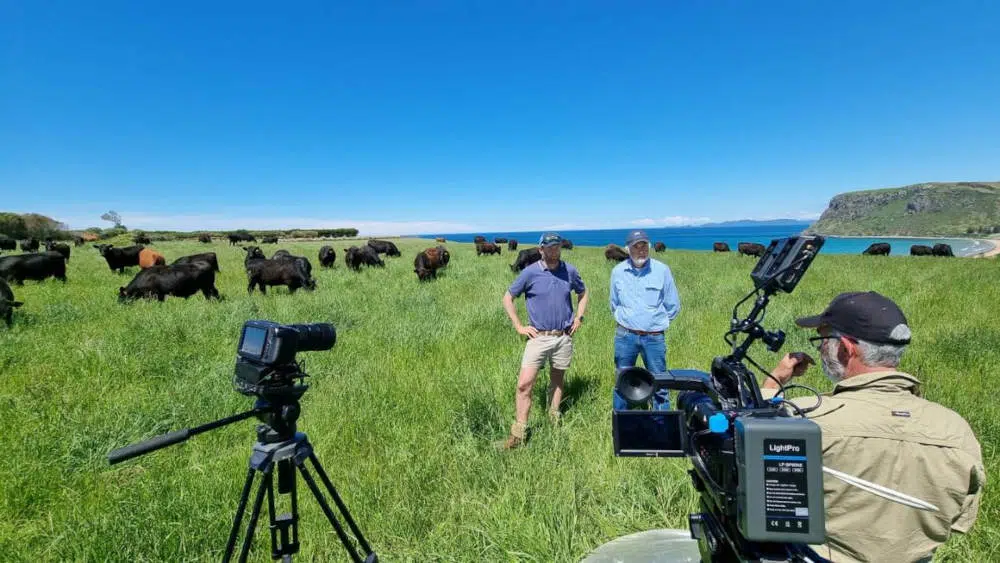 Xr:d:dafopbc7amc:3,j:2738584657287154102,t:23071012 2 farmers being interviewed in a paddock with cattle grazing behind them