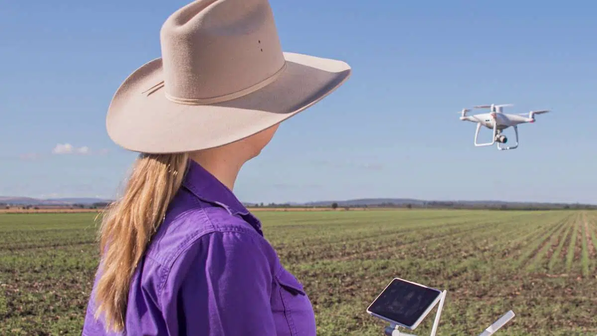 Understanding the video camera's perspective Woman on farm wearing purple shirt and akubra hat, flying a drone over crops