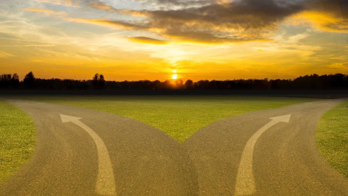 How do you choose between embedded or hosted 2 roads with arrows pointing left and right