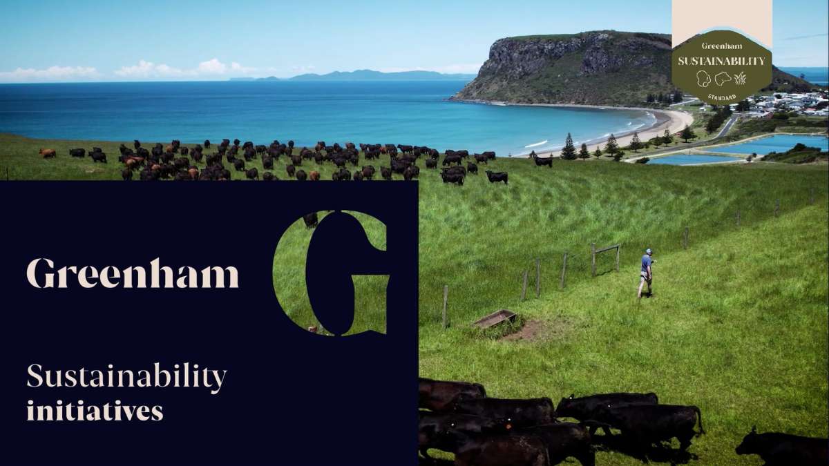 Thumbnail of cattle grazing 