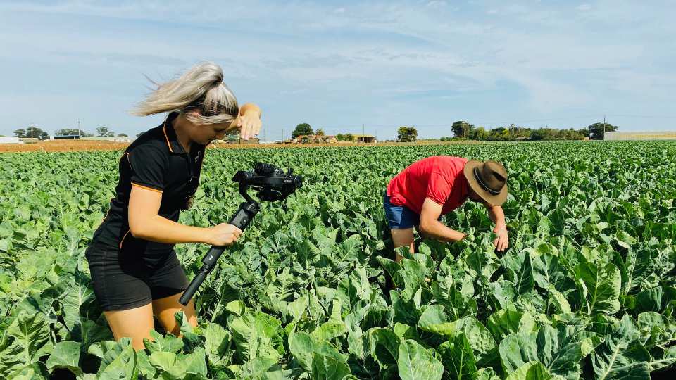 Case study video production 3 Camera woman filming a farmer checking crops for a agriculture video type