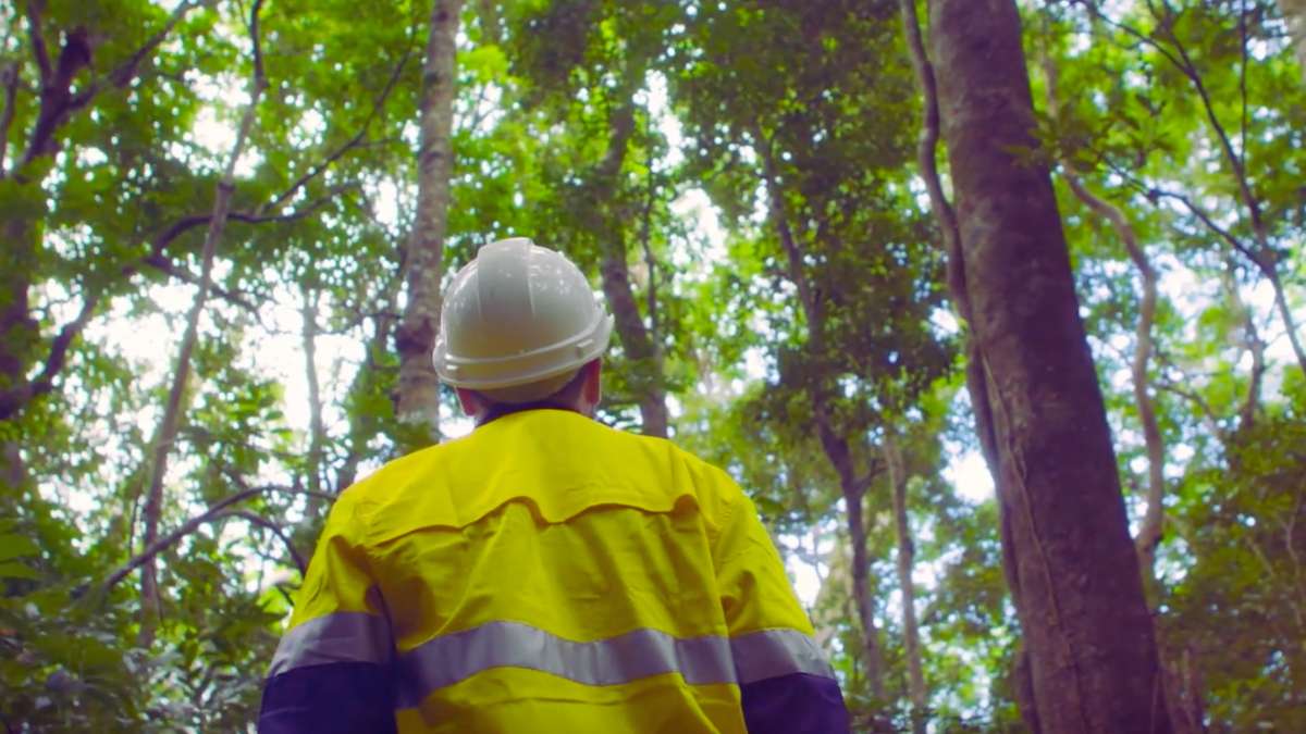 Video-scene-lengths Site worker walking in rainforest