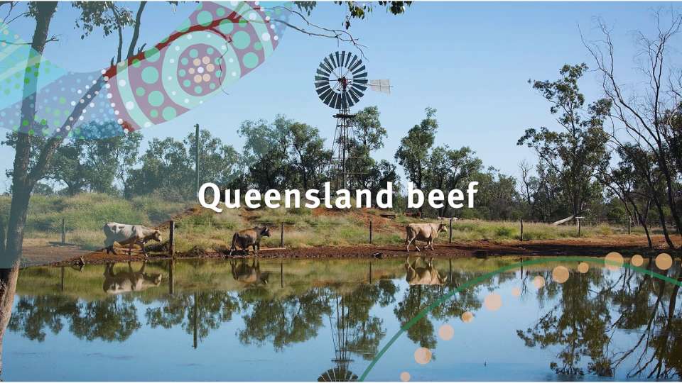 Client testimonials 14 Scene from video of cows grazing by waterhole